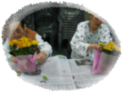 원예치료(국화화분 포장하기)