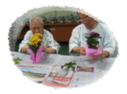 원예치료(국화화분 포장하기)